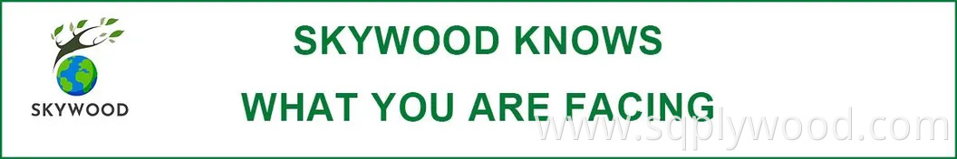 12/18mm E0 Black Brown Anti Slip Waterproof Glossy Laminated Basswood Mersawa Mahogany Eucalyptus Beech Birch Poplar Melamine Phenolic Film Faced Coated Plywood